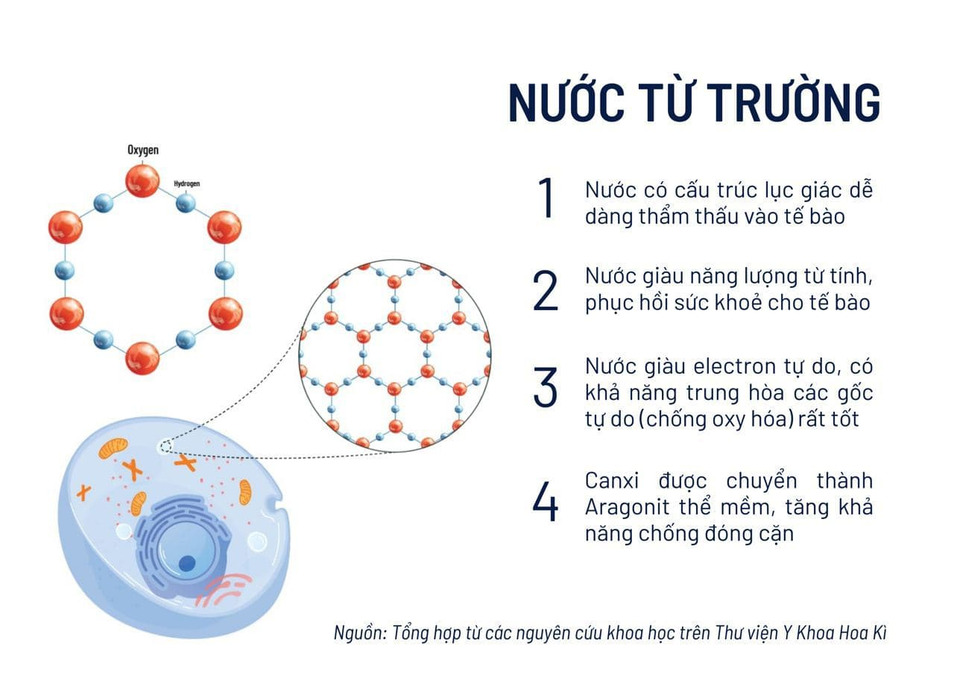 nuoc-tu-truong-chua-cac-phan-tu-co-cau-truc-hinh-luc-giac